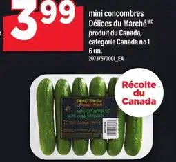 Maxi MINI CONCOMBRES DÉLICES DU MARCHÉ, 6 UN offer