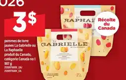 Maxi POMMES DE TERRE JAUNES LA GABRIELLE OU LA RAPHAELLE offer