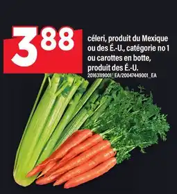 Maxi CÉLERI, OU CAROTTES EN BOTTE offer