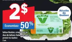 Maxi LAITUE BOSTON, CROQUANTE OU DUO DE LAITUES SALANOVA GEN V, 2 UN offer