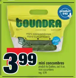 Super C mini concombres | mini cucumbers offer