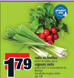 Super C RADIS EN FEUILLES | TOP RADISHES offer