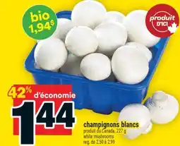 Super C champignons blancs | white mushrooms offer