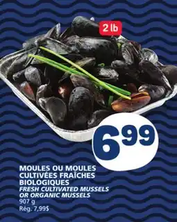 Marché Bonichoix FRESH CULTIVATED MUSSELS OR ORGANIC MUSSELS offer