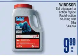 Jean Coutu WINDSOR Rapid-action de-icing salt offer