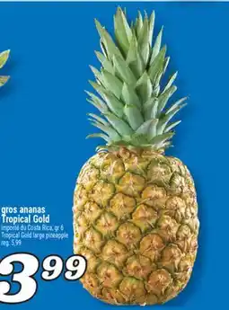 Marché Richelieu GROS ANANAS TROPICAL GOLD | TROPICAL GOLD LARGE PINEAPPLE offer