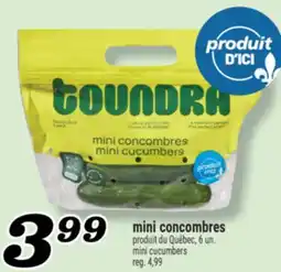 Marché Richelieu MINI CUCUMBERS | MINI CUCUMBERS offer