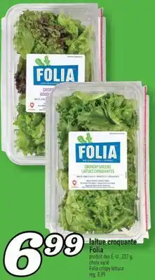 Marché Richelieu LAITUE CROQUANTE FOLIA | FOLIA CRISPY LETTUCE offer