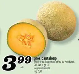 Marché Richelieu GROS CANTALOUP | LARGE CANTALOUPE offer