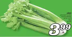 Marché Richelieu CÉLERI | CELERY offer