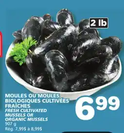 Marches Tradition CULTIVATED MUSSELS OR MUSSELS ORGANIC MUSSELS offer