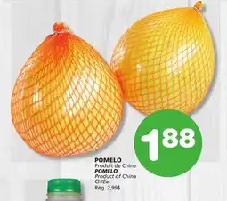 Marches Tradition POMELO offer