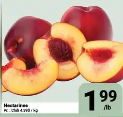 Pasquier Nectarines offer