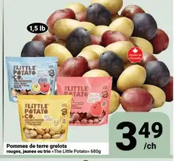 Pasquier Pommes de terre grelots 349 /ch rouges, jaunes ou trio The Little Potato offer