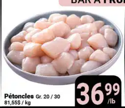 Pasquier Pétoncles Gr. 20/30 81 offer