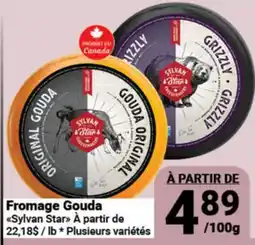 Pasquier Fromage Gouda Sylvan Star offer