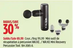 Canadian Tire WA:KE Mini Recovery Percussion Tool offer