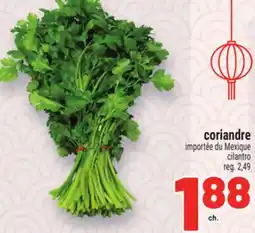 Metro CORIANDRE | CILANTRO offer