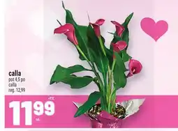 Metro CALLA | CALLA offer