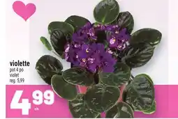 Metro VIOLETTE | VIOLET offer