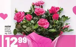 Metro ROSIER | ROSEBUSH offer