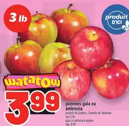 Metro POMMES GALA OU AMBROSIA | GALA OR AMBROSIA APPLES offer