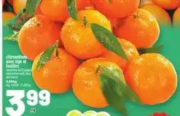 Metro CLÉMENTINES AVEC TIGE ET FEUILLES | CLEMENTINES WITH STEM AND LEAVES offer