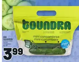 Metro MINI CONCOMBRES | MINI CUCUMBERS offer