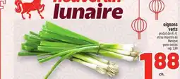 Metro OIGNONS VERTS | GREEN ONIONS offer