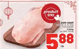 Metro JEUNE CANARD | FROZEN YOUNG DUCK offer