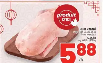 Metro JEUNE CANARD | FROZEN YOUNG DUCK offer