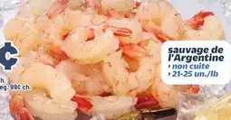 Metro SAUVAGE DE L'ARGENTINE offer