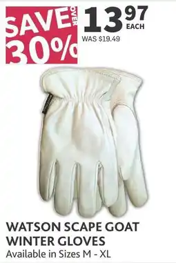 Co-op Watson scape goat winter gloves offer