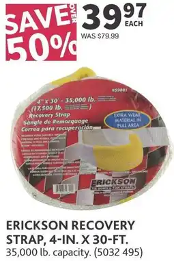 Co-op Erickson recovery strap, 4-in. x 30-ft. offer