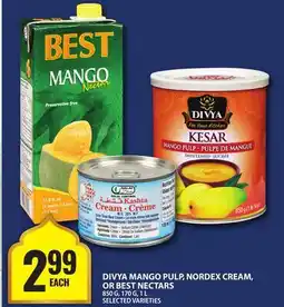 Food Basics DIVYA MANGO PULP, NORDEX CREAM, OR BEST NECTARS offer