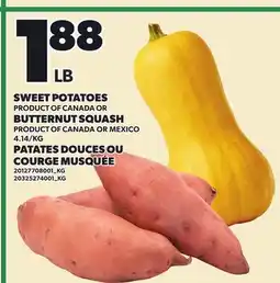 Independent Grocer SWEET POTATOES OR BUTTERNUT SQUASH offer