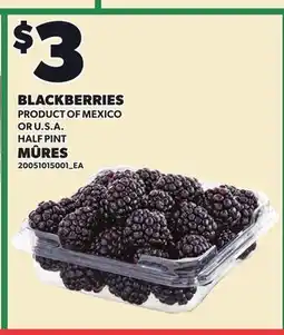 Independent Grocer BLACKBERRIES, HALF PINT offer