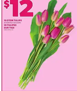 Independent Grocer 10 STEM TULIPS offer