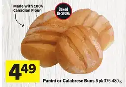 Foodland Panini or Calabrese Buns offer