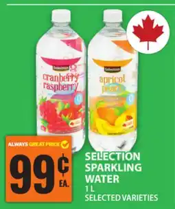 Food Basics SELECTION SPARKLING WATER offer