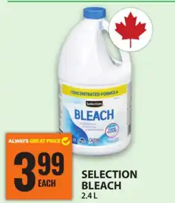 Food Basics SELECTION BLEACH offer