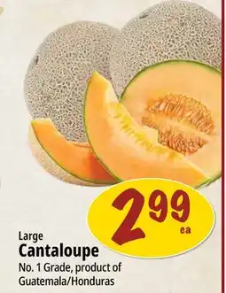 Farm Boy Large Cantaloupe offer