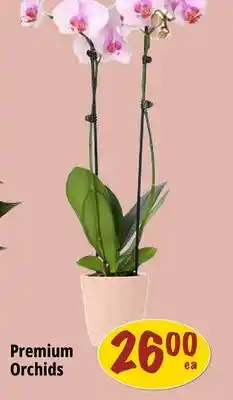 Farm Boy Premium Orchids offer