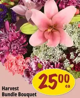 Farm Boy Harvest Bundle Bouquet offer