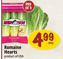 Farm Boy Andy Boy Romaine Hearts offer