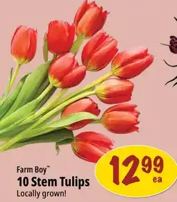 Farm Boy Farm Boy 10 Stem Tulips offer