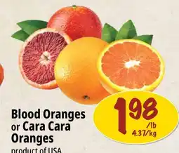 Farm Boy Blood Oranges or Cara Cara Oranges offer