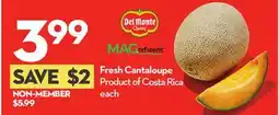 Longo's Fresh Cantaloupe offer