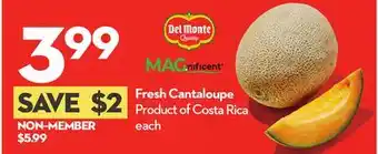 Longo's Fresh Cantaloupe offer