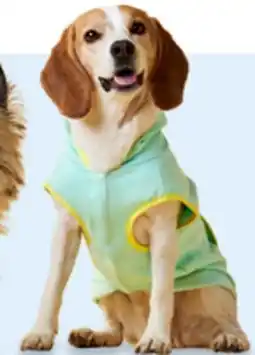 Walmart One Paw spring dog sweaters offer